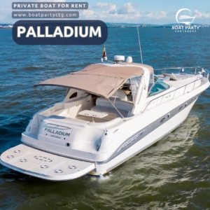 Palladium 46ft Sea Ray Sundancer 
